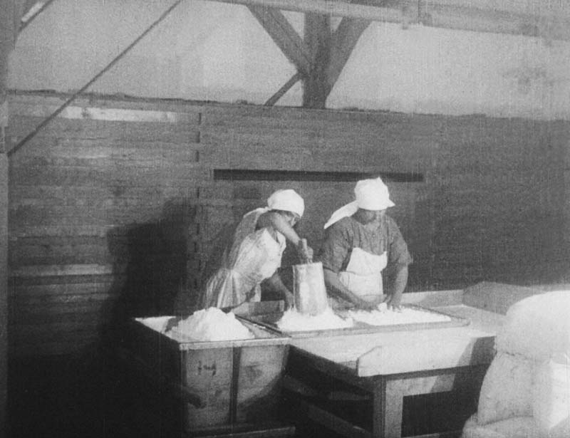 Processing milk into products - Picture 4