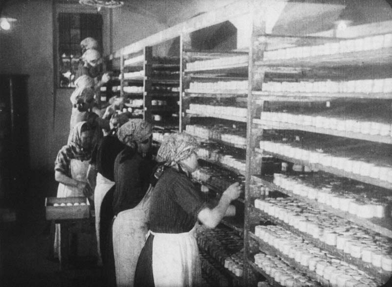 Processing milk into products - Picture 3