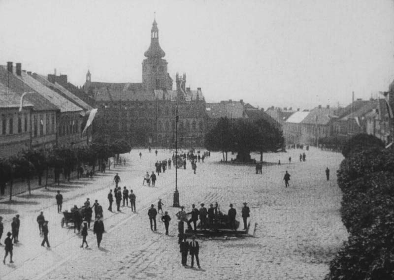 Hořice v Podkrkonoší, město kamenné a přírodní krásy - picture 11