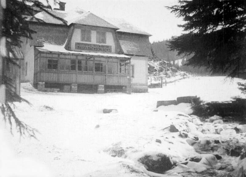 Iron Ore in šumava and surroundings - picture 4