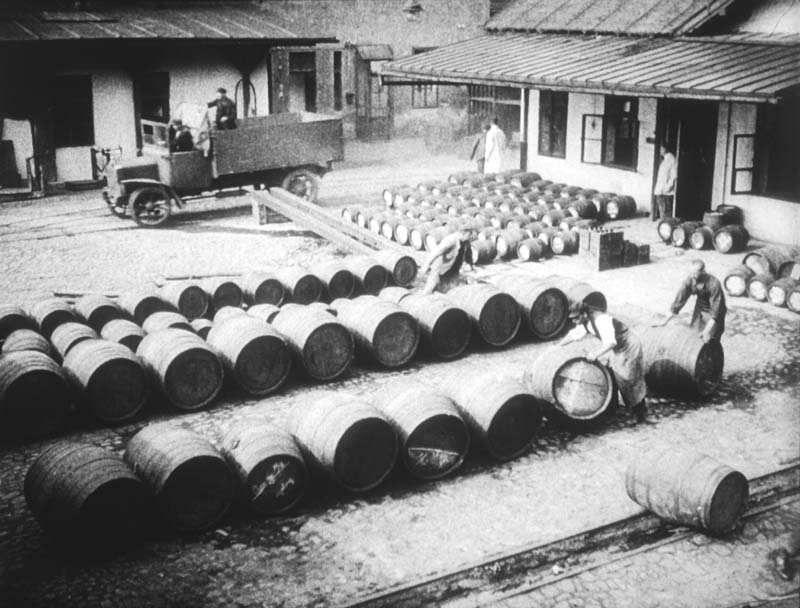Wine - from vine to cup - picture 5